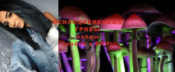 герыч Богородицк