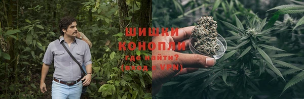 PSILOCYBIN Богданович