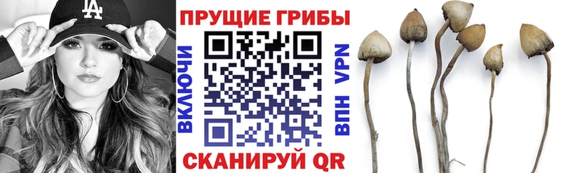 Псилоцибиновые грибы ЛСД  закладка  Кириши 
